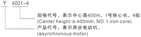 西安泰富西玛Y系列(H355-1000)高压ZZJ-803三相异步电机型号说明