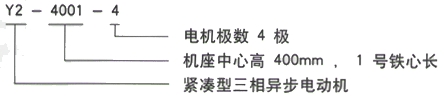 YR系列(H355-1000)高压ZZJ-803三相异步电机西安西玛电机型号说明